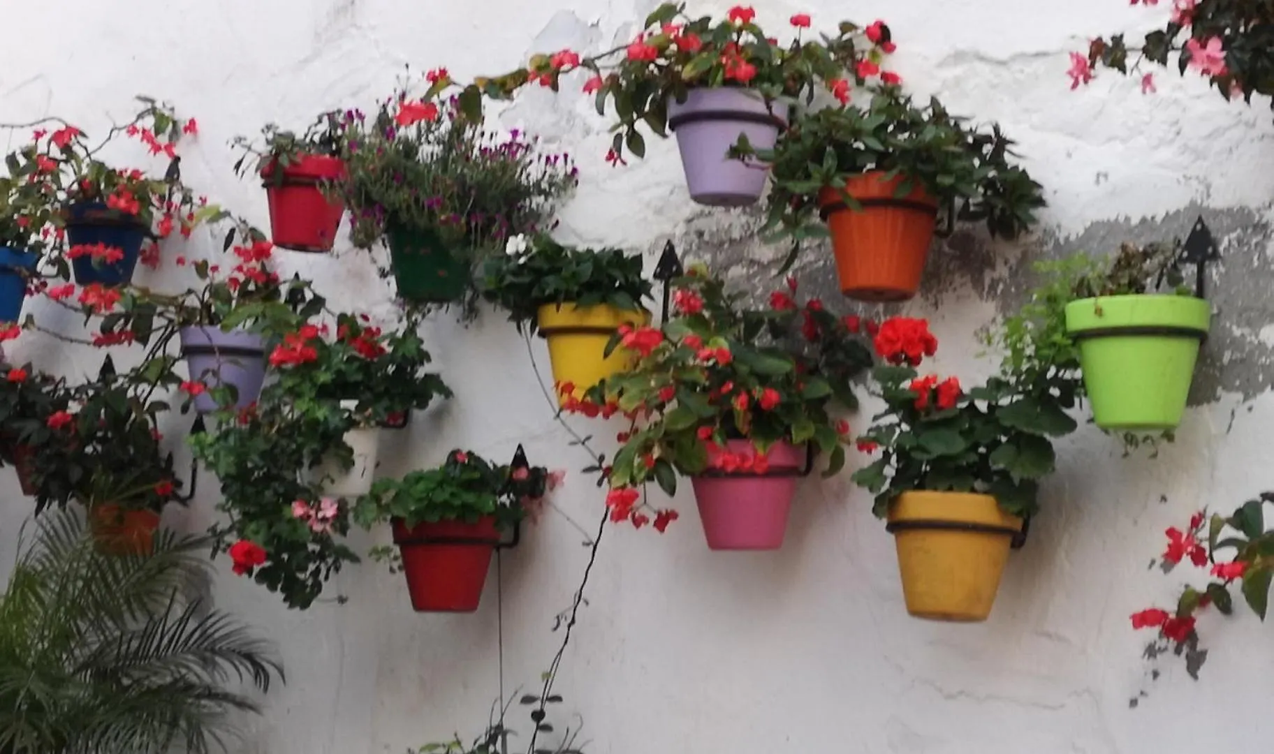 Intermobiliaria Rentals - Puerto Alto B6 7 Estepona 0*,  Spain