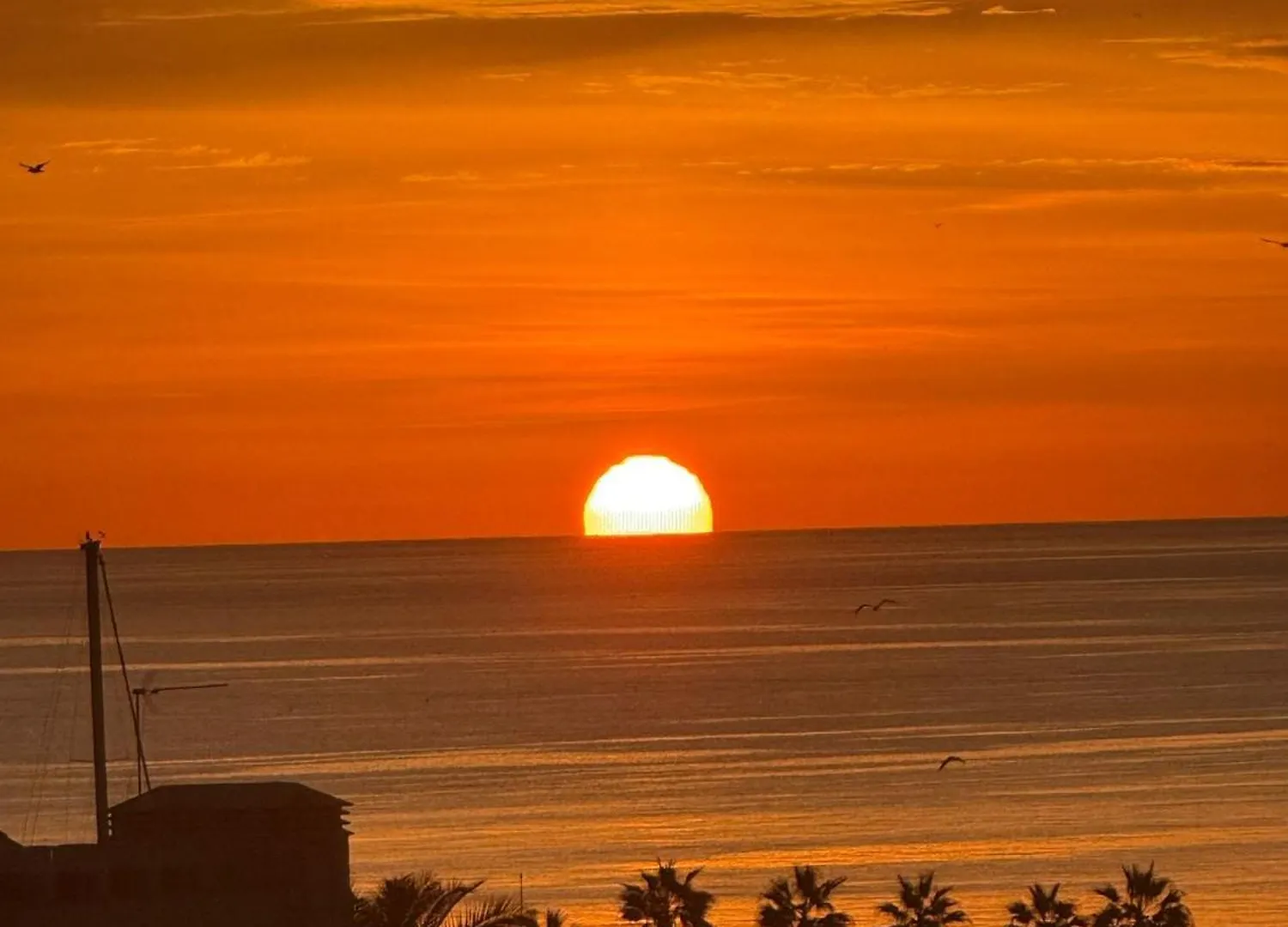 Intermobiliaria Rentals - Puerto Alto B6 7 Estepona